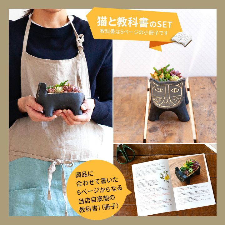 多肉植物の寄せ植え通販「可愛いネコ鉢」プレゼントにも人気！