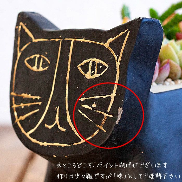 多肉植物の寄せ植え通販「可愛いネコ鉢」プレゼントにも人気！
