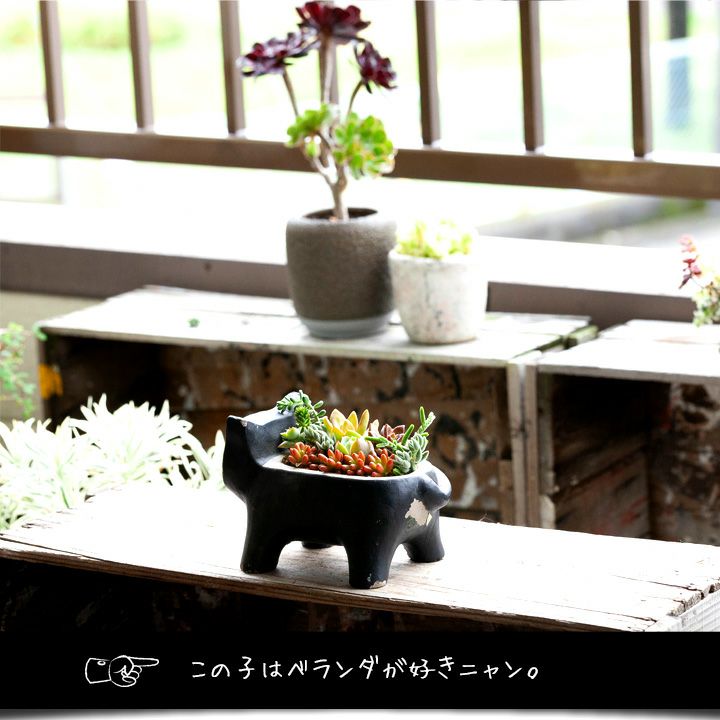 000000001604-16.jpg?size=l&w=