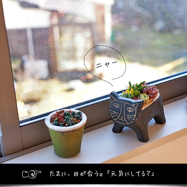 000000001604-19.jpg?size=l&w=