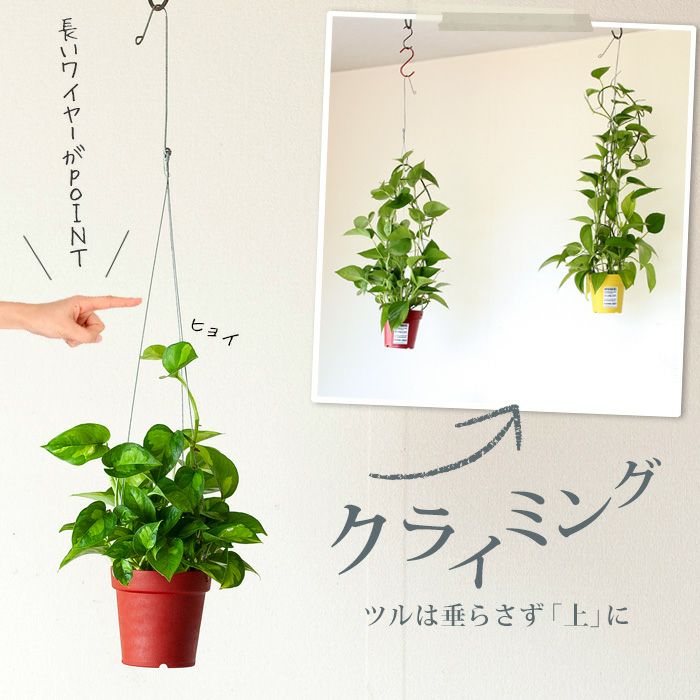 000000001633-02.jpg?size=l&w=