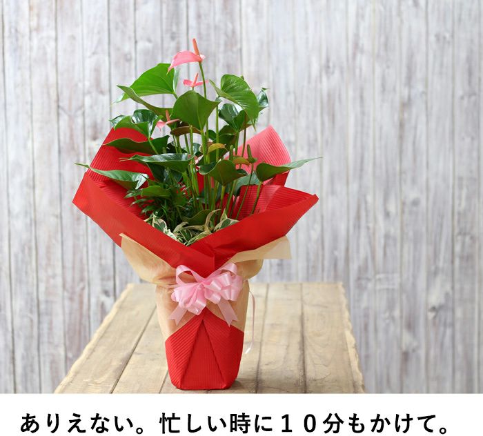 000000001647-07.jpg?size=l&w=
