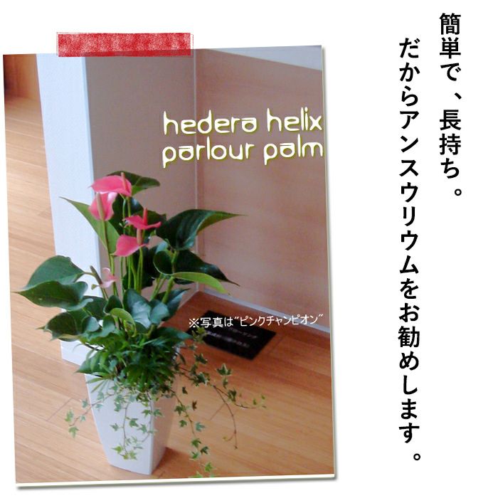 000000001647-08.jpg?size=l&w=