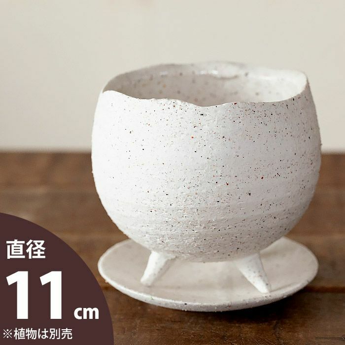 000000001653-01.jpg?size=m&w=