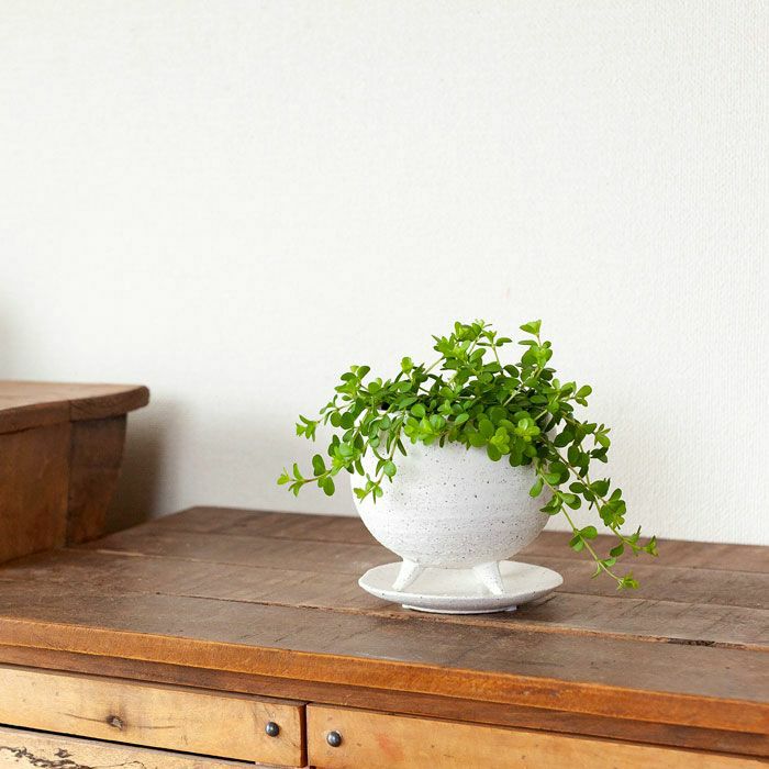 作家ものみたいな足付き白植木鉢｜3号サイズ植物の植え替えに！