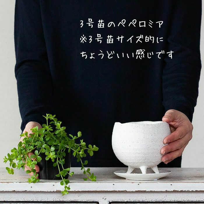 作家ものみたいな足付き白植木鉢｜3号サイズ植物の植え替えに！