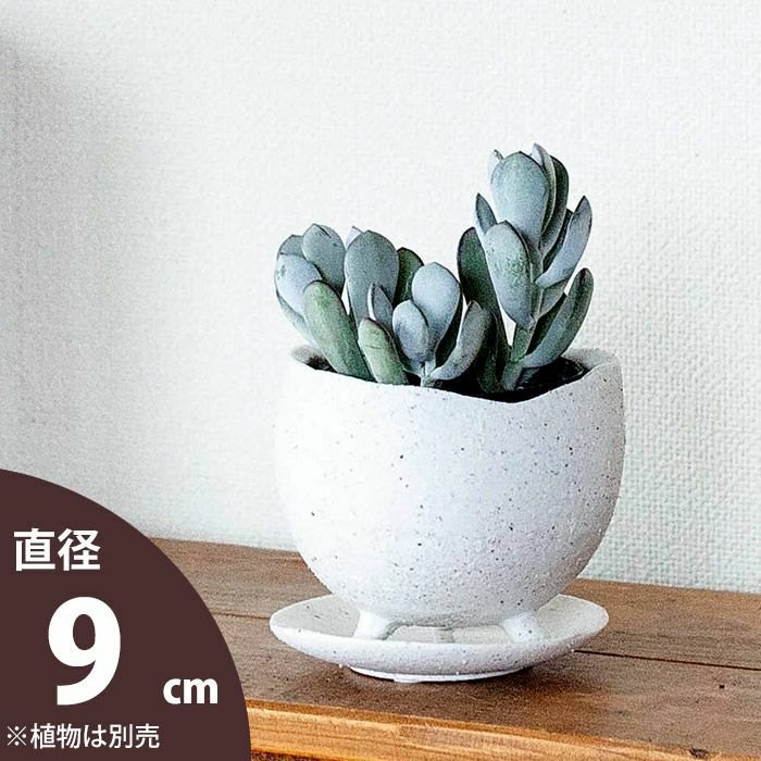 陶器の足つきザラザラ白植木鉢2～2.5号観葉植物の植え替えに