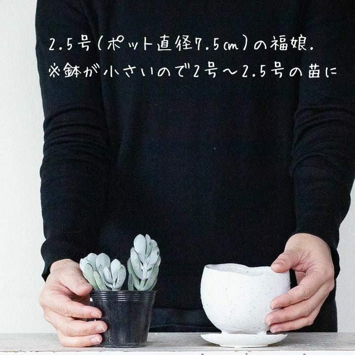 陶器の足つきザラザラ白植木鉢2～2.5号観葉植物の植え替えに