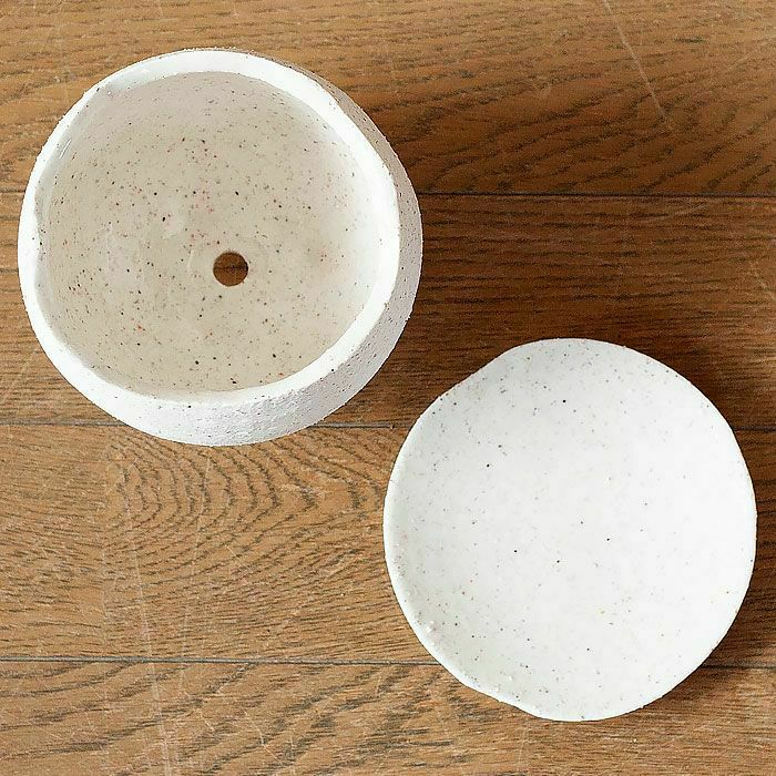 陶器の足つきザラザラ白植木鉢2～2.5号観葉植物の植え替えに