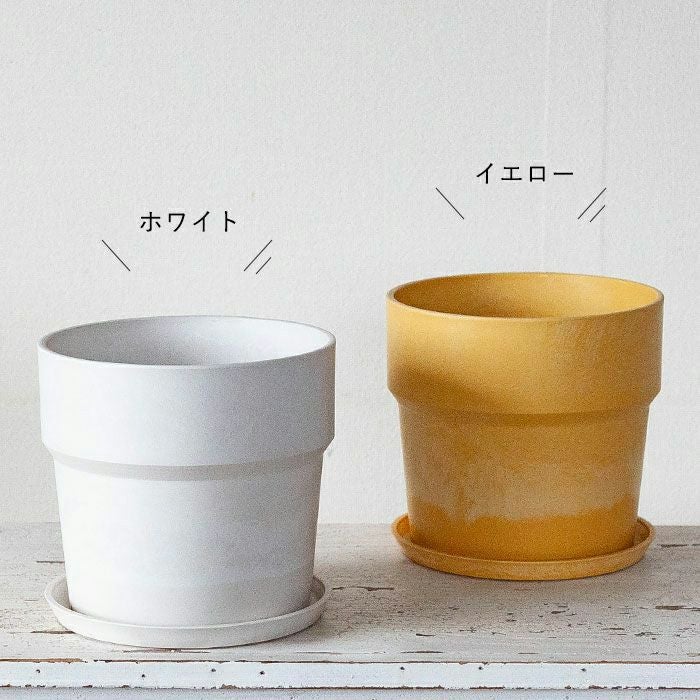 軽くて使いやすいカラー植木鉢5～6号サイズ植物の植え替えに