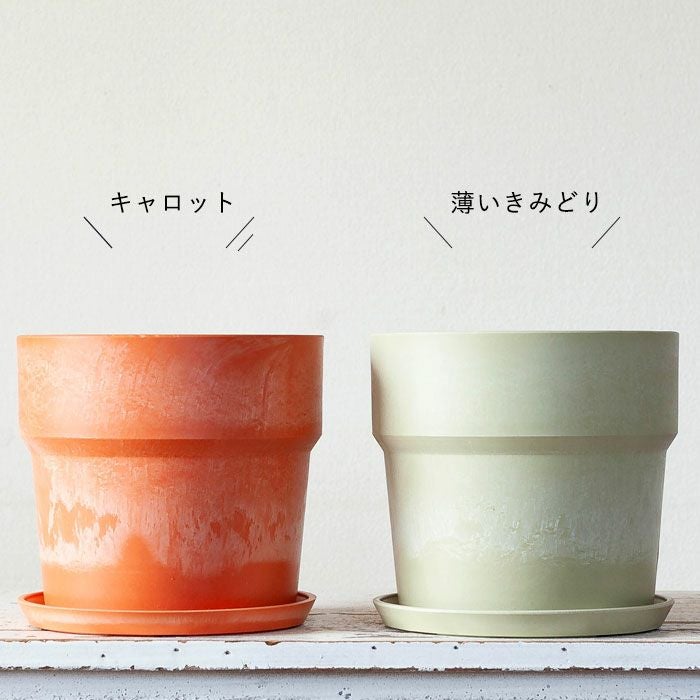 軽くて使いやすいカラー植木鉢5～6号サイズ植物の植え替えに