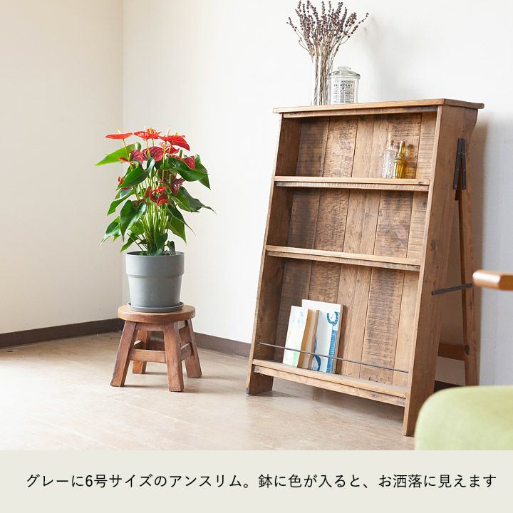 軽くて使いやすいカラー植木鉢5～6号サイズ植物の植え替えに