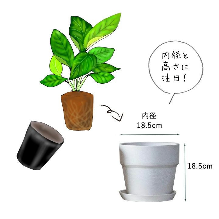 軽くて使いやすいカラー植木鉢5～6号サイズ植物の植え替えに