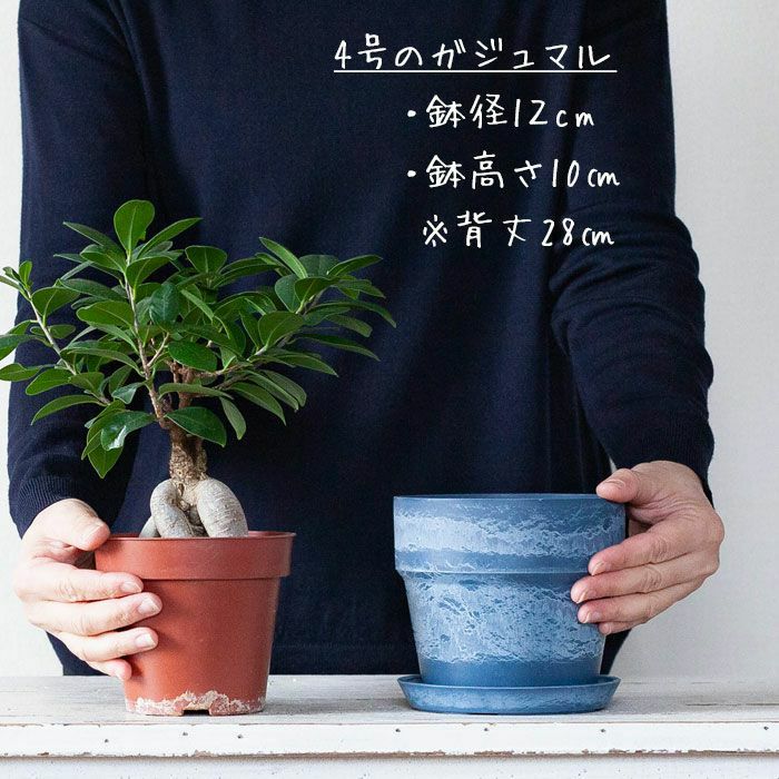 おしゃれ！プラスチック植木鉢｜木粉や石を練りこんだ樹脂製