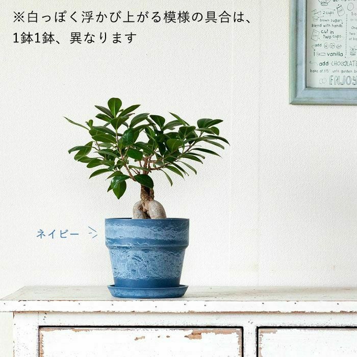 おしゃれ！プラスチック植木鉢｜木粉や石を練りこんだ樹脂製