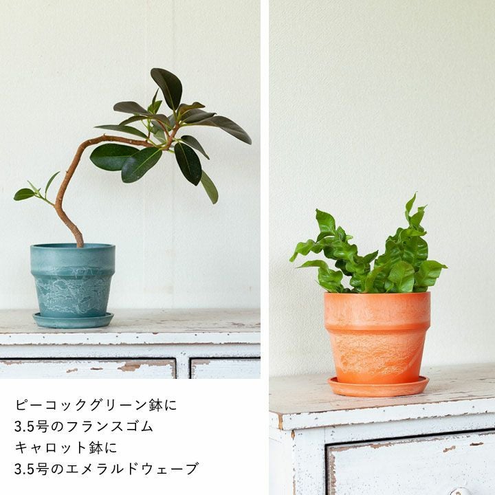 おしゃれ！プラスチック植木鉢｜木粉や石を練りこんだ樹脂製