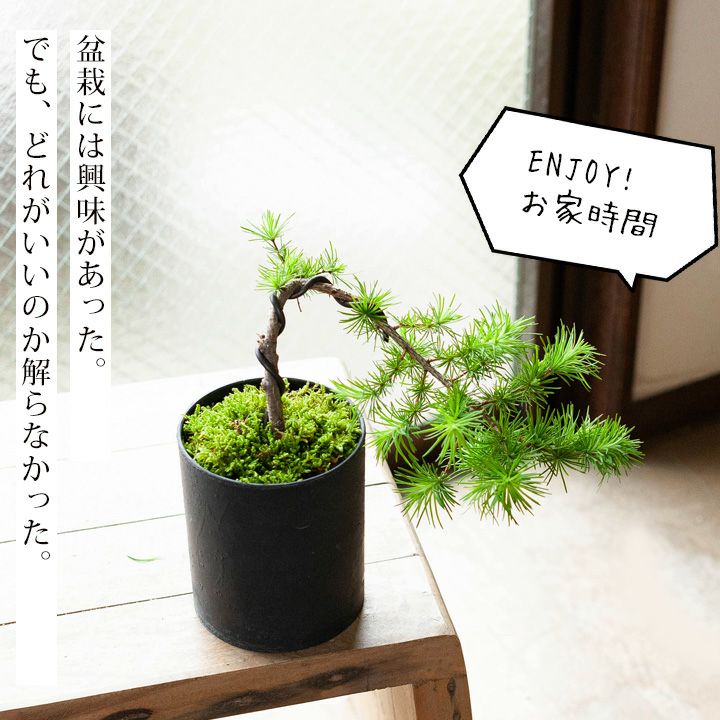 000000001995-01.jpg?size=l&w=