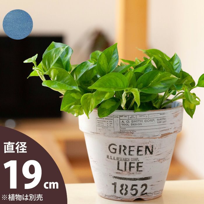 おしゃれなペイント素焼き鉢｜5号サイズの観葉植物の鉢カバーに