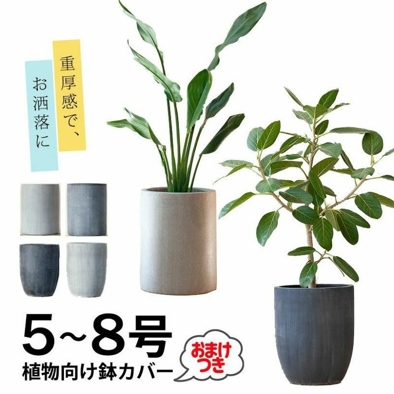 サイズ」と「あると便利」に注目した植木鉢カバー（5号鉢～8号鉢の観葉