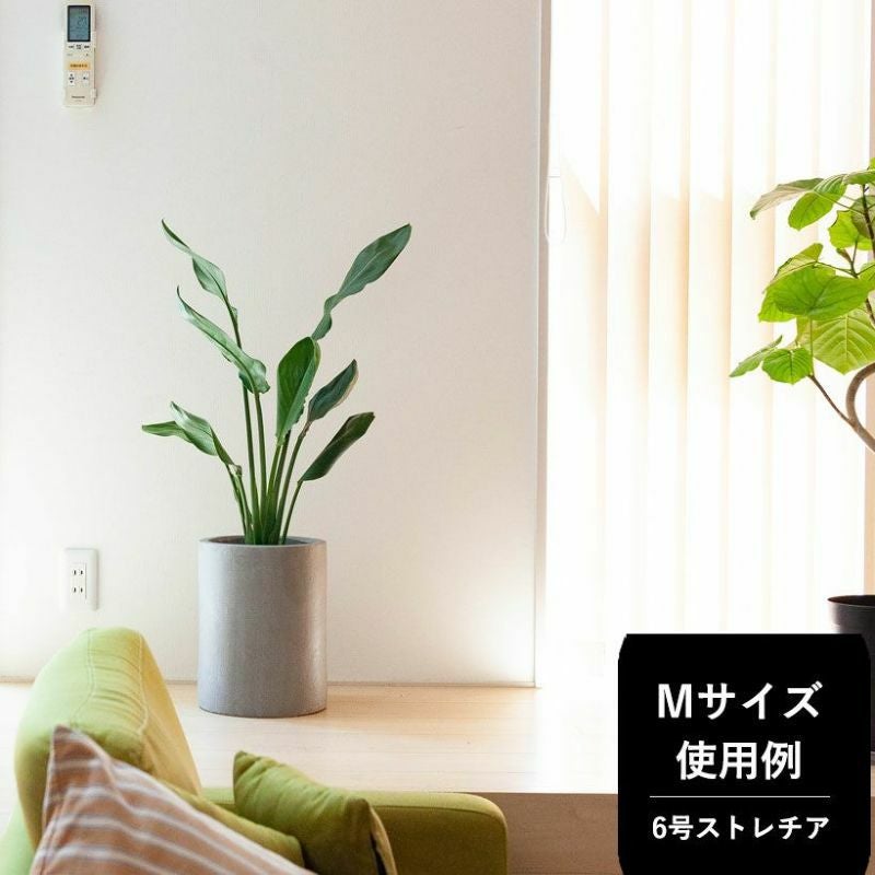 サイズ」と「あると便利」に注目した植木鉢カバー（5号鉢～8号鉢の観葉