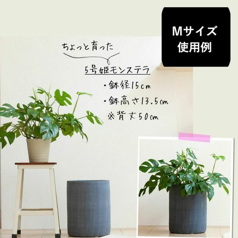 サイズ」と「あると便利」に注目した植木鉢カバー（5号鉢～8号鉢の観葉