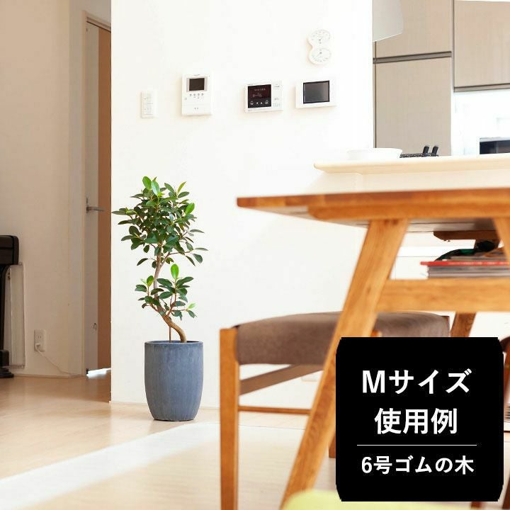 サイズ」と「あると便利」に注目した植木鉢カバー（5号鉢～8号鉢の観葉