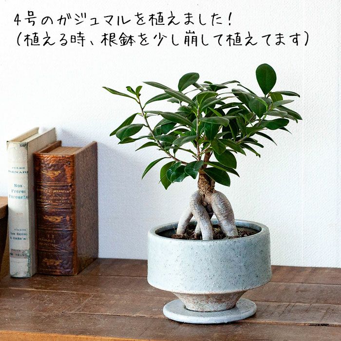 個性的な形の陶器鉢｜3～3.5号サイズ植物の植替え、寄せ植えに