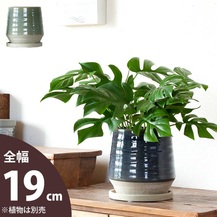 ツヤのある和風陶器鉢（2色）3.5～5号の観葉植物植替えに