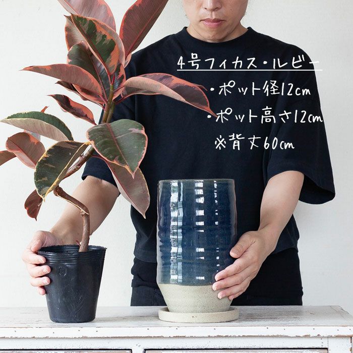 和風おしゃれ！植木鉢（背が高い陶器鉢）和モダンデザイン