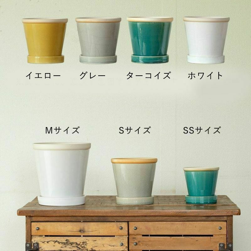 観葉植物の植え替えはこの鉢が人気！「4色」から選べる陶器鉢e-花屋さん