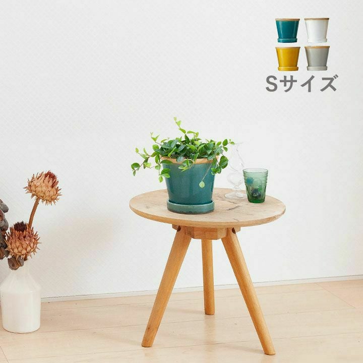 観葉植物の植え替えはこの鉢が人気！「4色」から選べる陶器鉢e-花屋さん