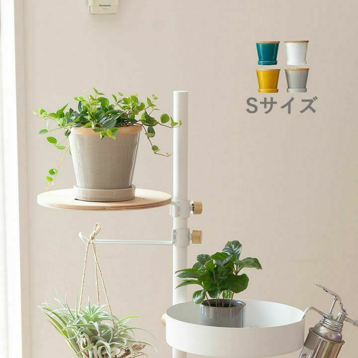 観葉植物の植え替えはこの鉢が人気！「4色」から選べる陶器鉢e-花屋さん