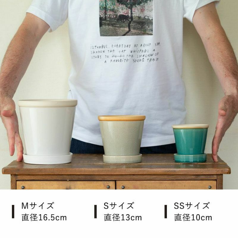 観葉植物の植え替えはこの鉢が人気！「4色」から選べる陶器鉢e-花屋さん
