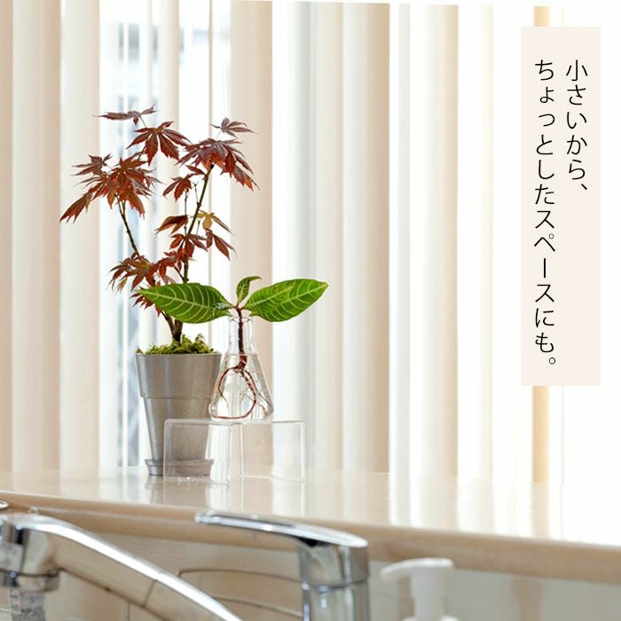 理科学系インテリア「三角フラスコ」 | [公式]e-花屋さん