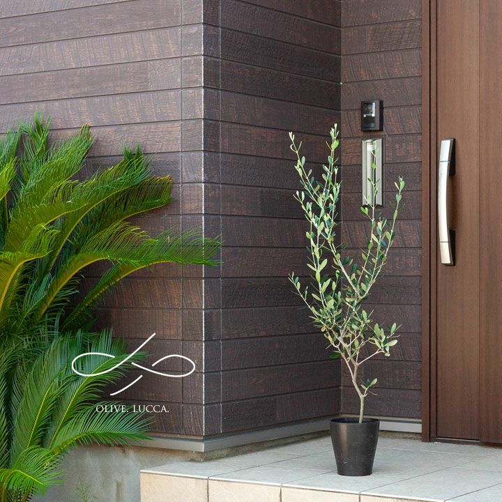 000000002320-02.jpg?size=l&w=