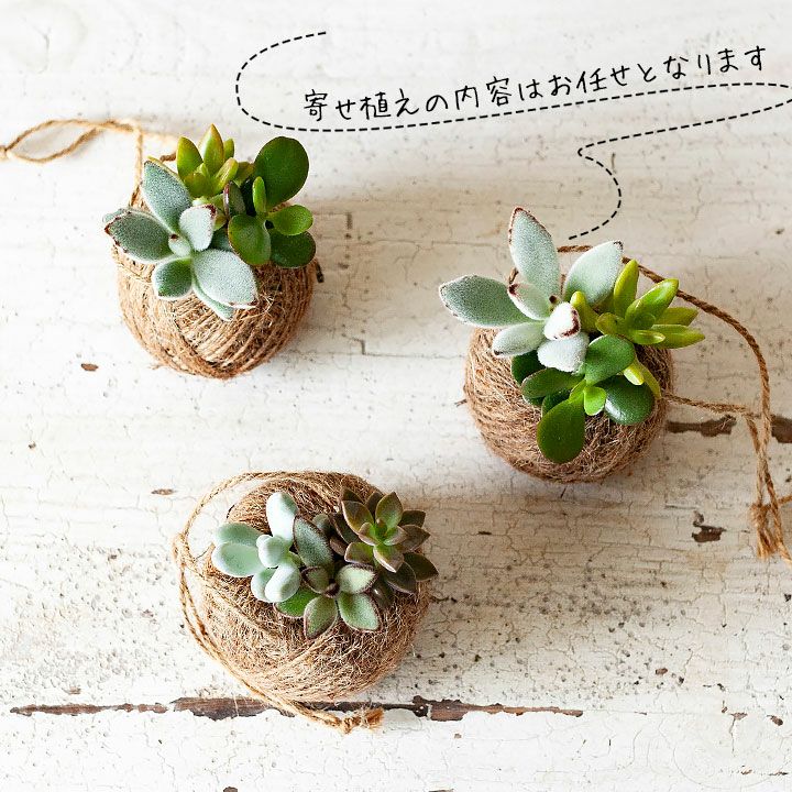 000000002365-08.jpg?size=l&w=