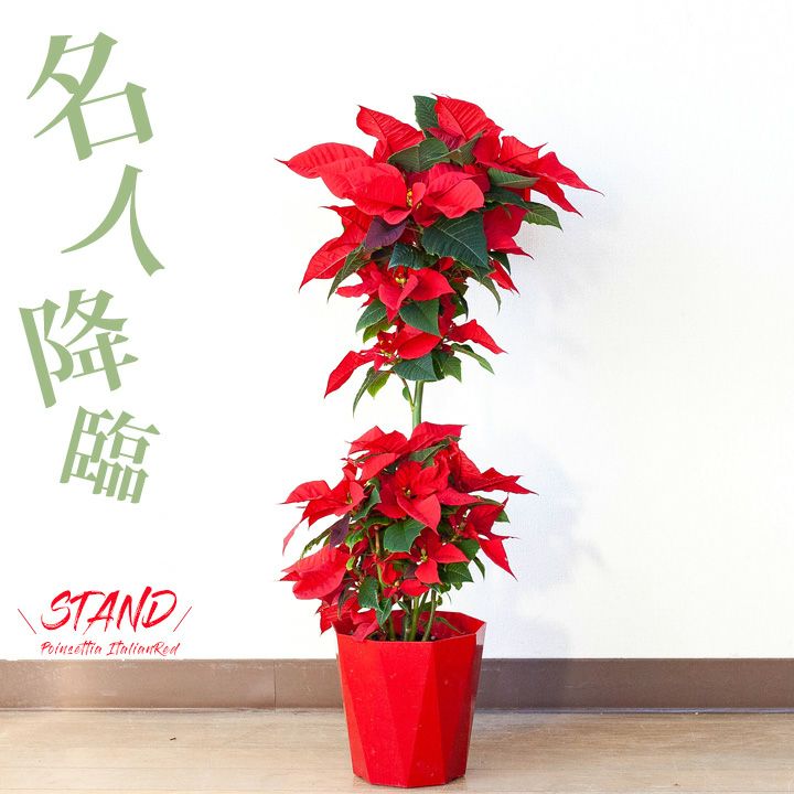 000000002633-01.jpg?size=l&w=