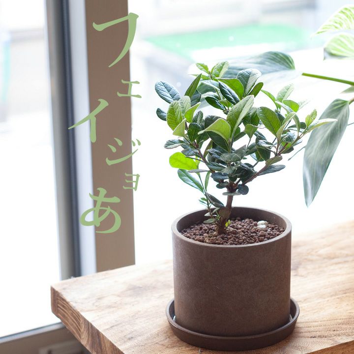 000000002693-02.jpg?size=l&w=