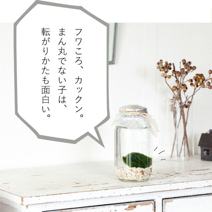 000000002758-05.jpg?size=l&w=