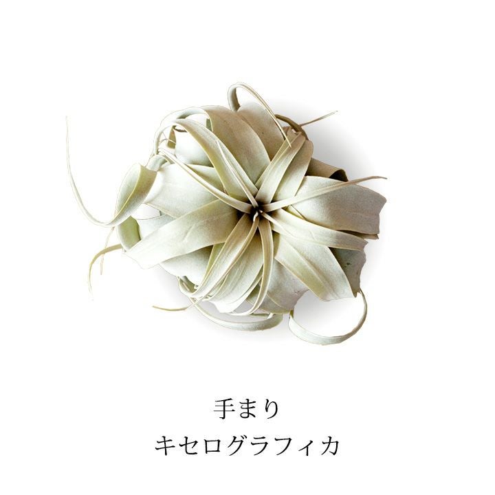 000000002890-01.jpg?size=l&w=