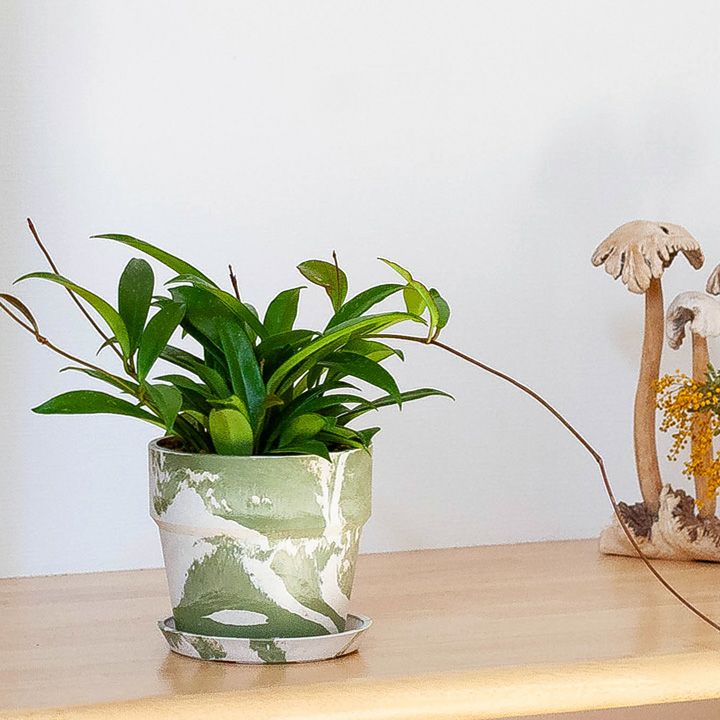000000003075-04.jpg?size=l&w=