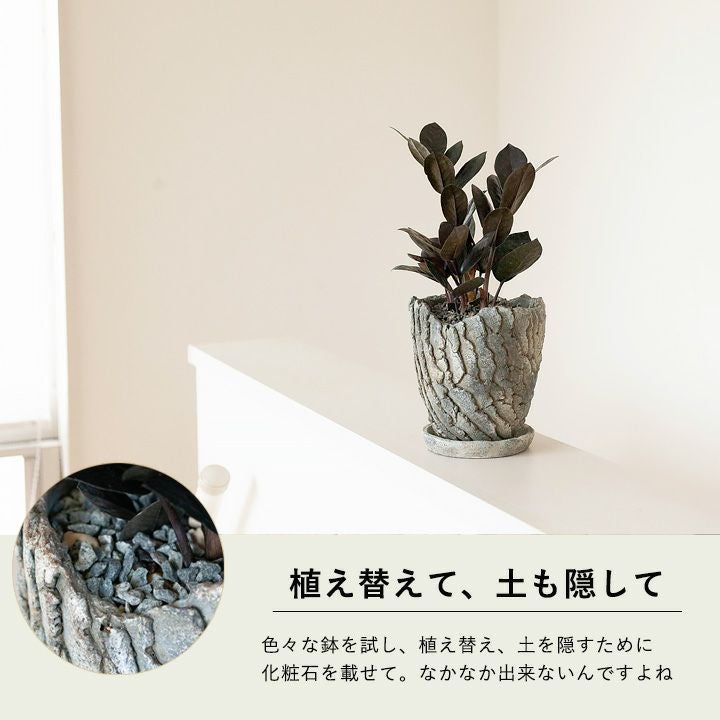 000000003080-05.jpg?size=l&w=