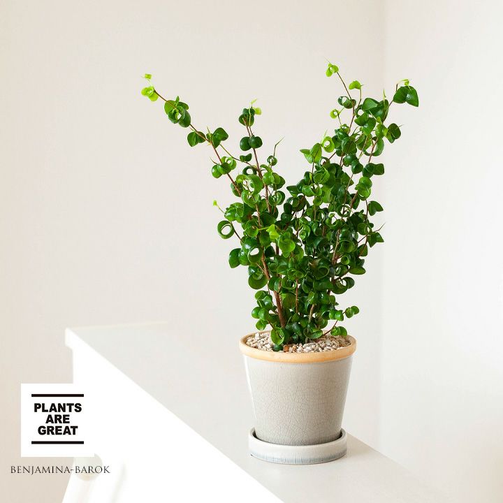 000000003306-01.jpg?size=l&w=