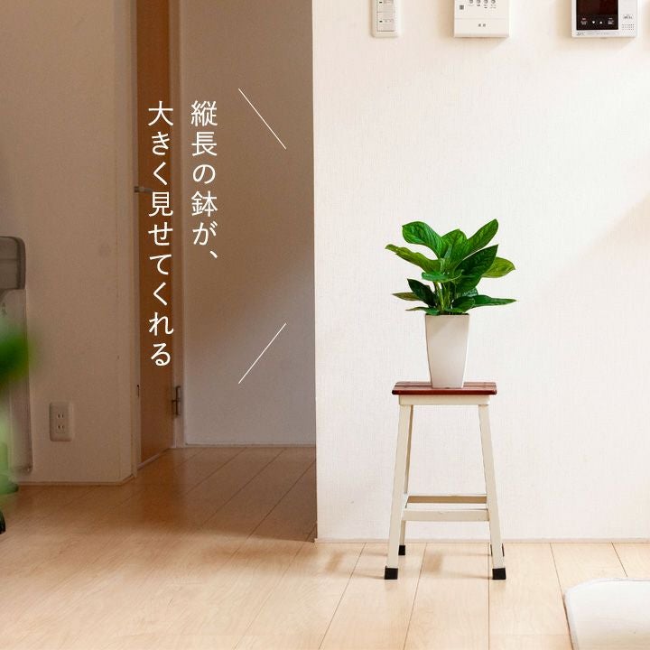 000000003307-04.jpg?size=l&w=