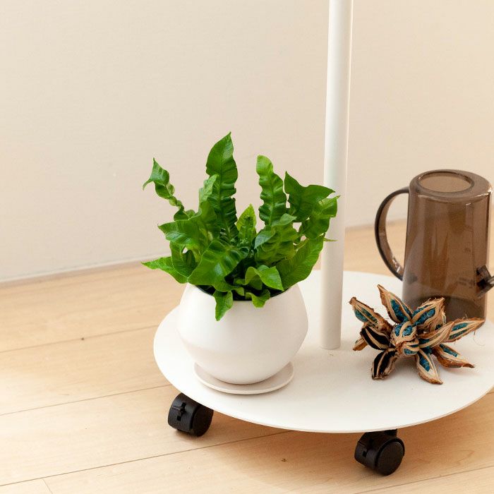 ボール型白いマットの植木鉢｜3～3.5号観葉植物の植え替えに