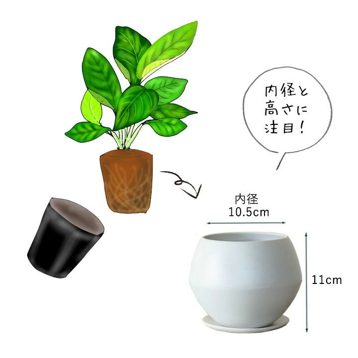 ボール型白いマットの植木鉢｜3～3.5号観葉植物の植え替えに