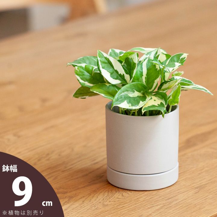 ライトグレー＆ピンク｜マット調シリンダー陶器鉢（2～3号植物向け）