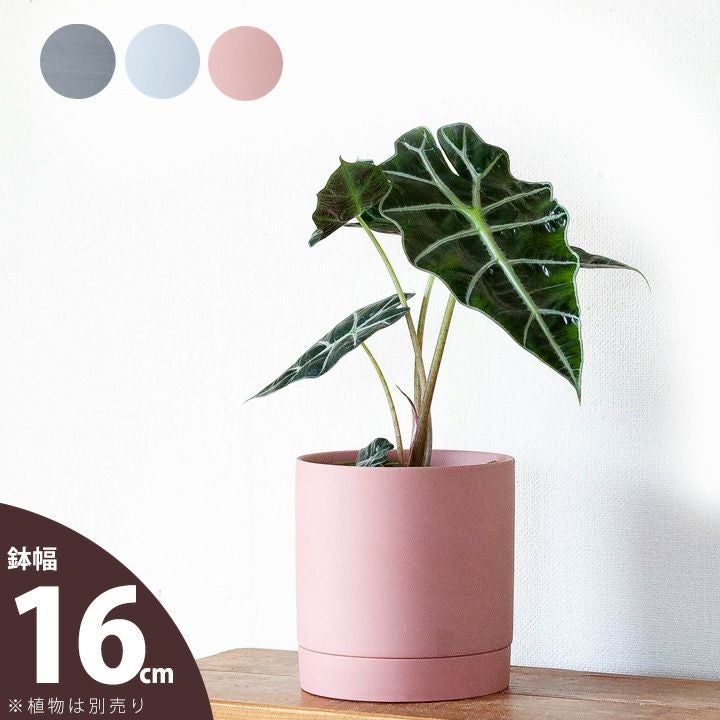 ザラっとした質感。マット調シリンダー陶器鉢（4～5号植物向け）