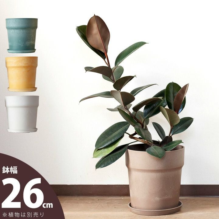 おしゃれ可愛いマット調カラフル植木鉢(カバー)6～7号サイズ向け