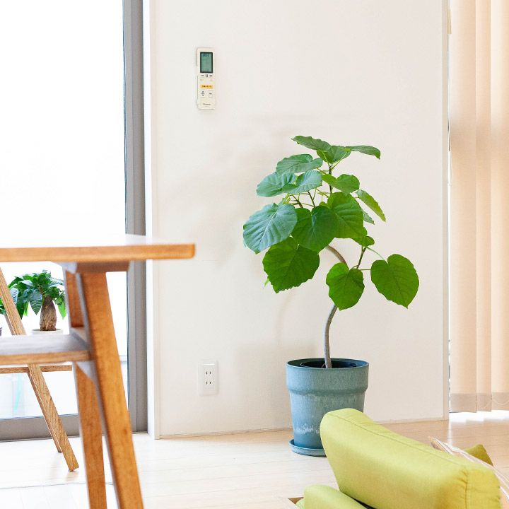 おしゃれ可愛いマット調カラフル植木鉢(カバー)6～7号サイズ向け